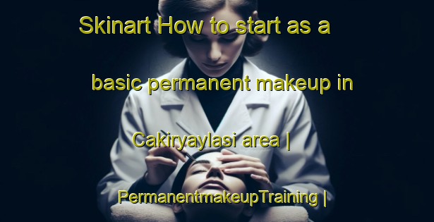 Skinart How to start as a basic permanent makeup in Cakiryaylasi area | PermanentmakeupTraining | PermanentmakeupClasses | SkinartTraining-Turkey